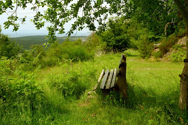 近几个赛季 近几个赛季