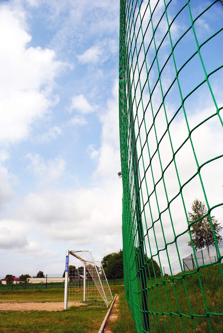 他在篮下来 他在篮下来