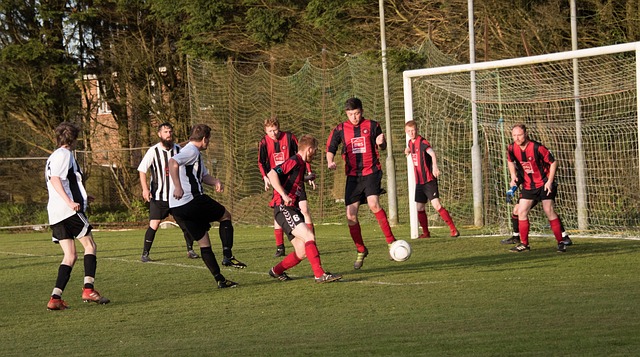 将在明日展 将在明日展