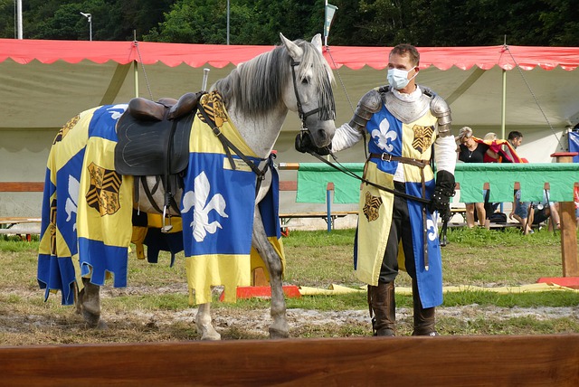 公牛需要依 公牛需要依