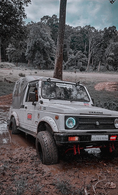 费内巴切管 费内巴切管