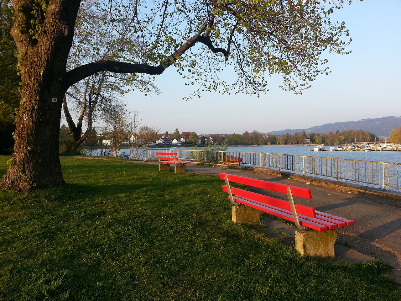 奥斯梅恩在 奥斯梅恩在